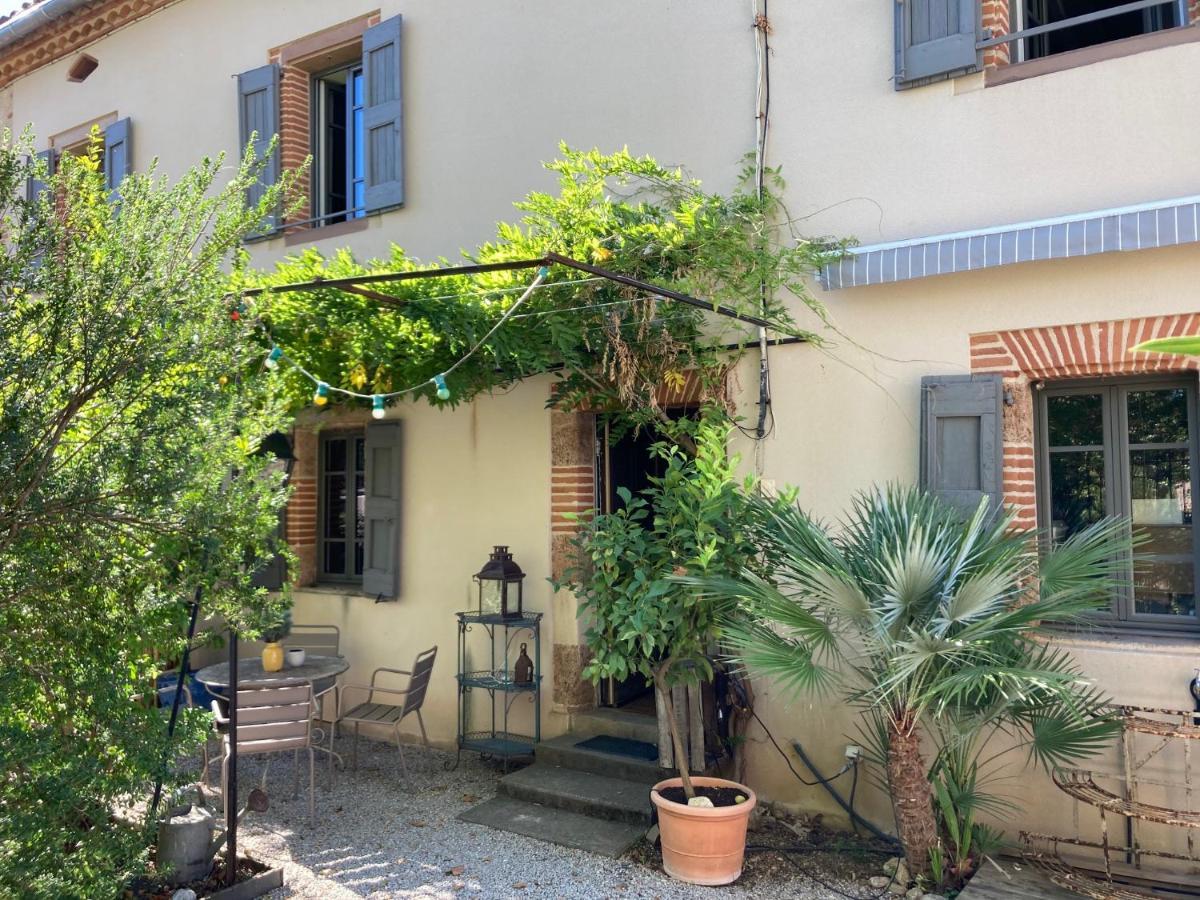 16 Bis-Gite-Hotel-Studio Marssac-sur-Tarn Extérieur photo