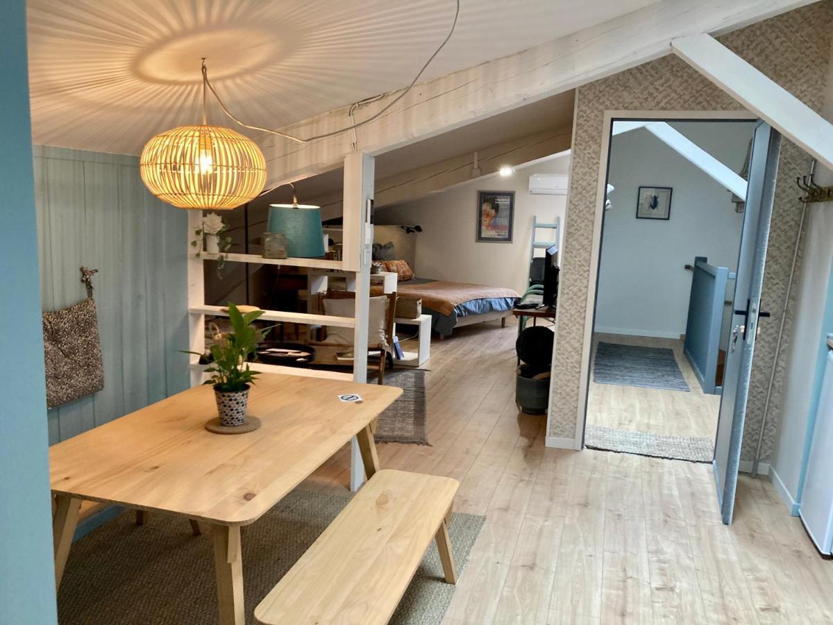 16 Bis-Gite-Hotel-Studio Marssac-sur-Tarn Extérieur photo