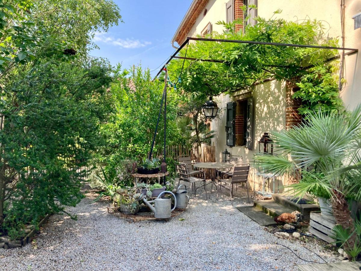 16 Bis-Gite-Hotel-Studio Marssac-sur-Tarn Extérieur photo